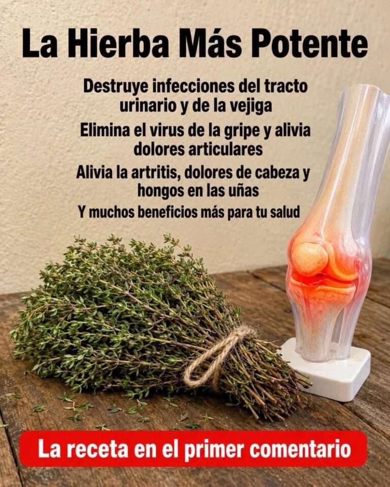 Dile Adiós a la Inflamación y el Dolor Articular con el Poder del Tomillo