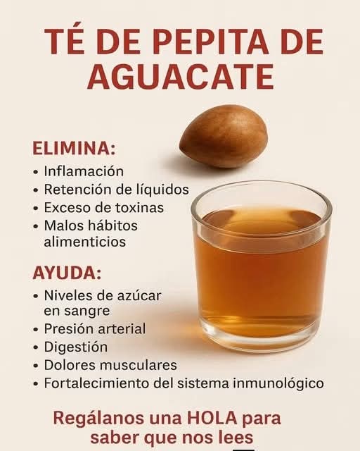 Té de semilla de aguacate: tradición, posibles propiedades y lo que aún falta por comprobar