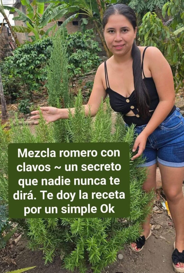 Toma té de romero y descubre todo lo que esta planta puede aportar a tu bienestar diario
