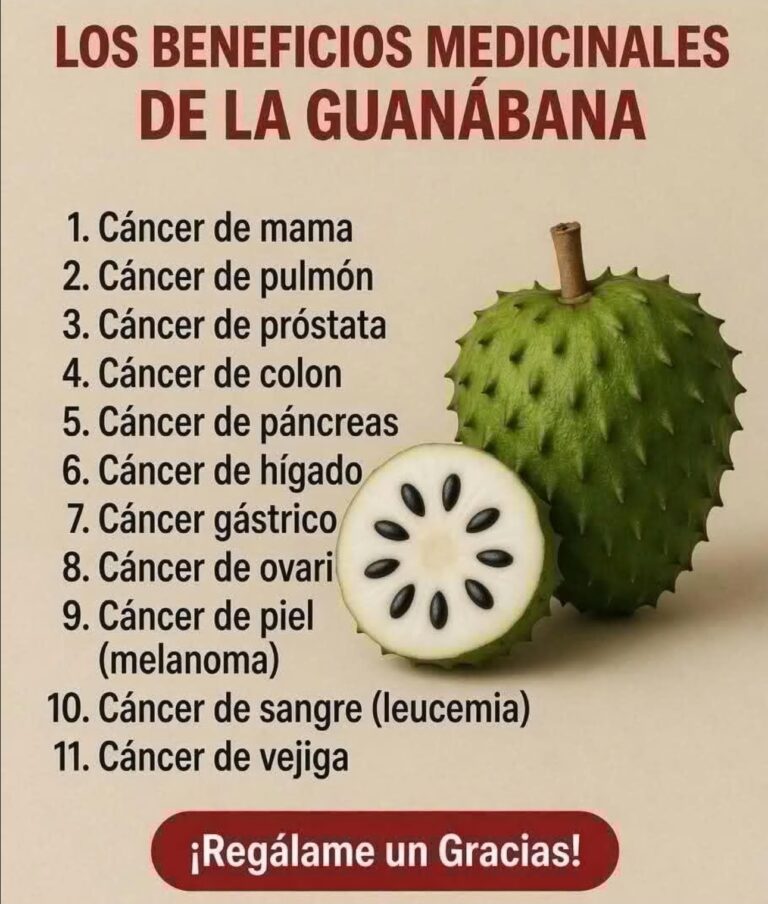 Beneficios de la Guanábana para la Salud y Remedios Caseros