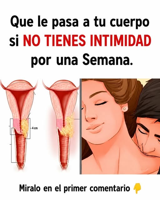 Qué sucede en el cuerpo durante períodos cortos sin actividad