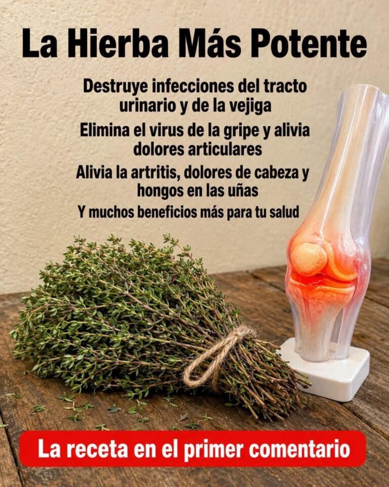 Dile Adiós a la Inflamación y el Dolor Articular con el Poder del Tomillo