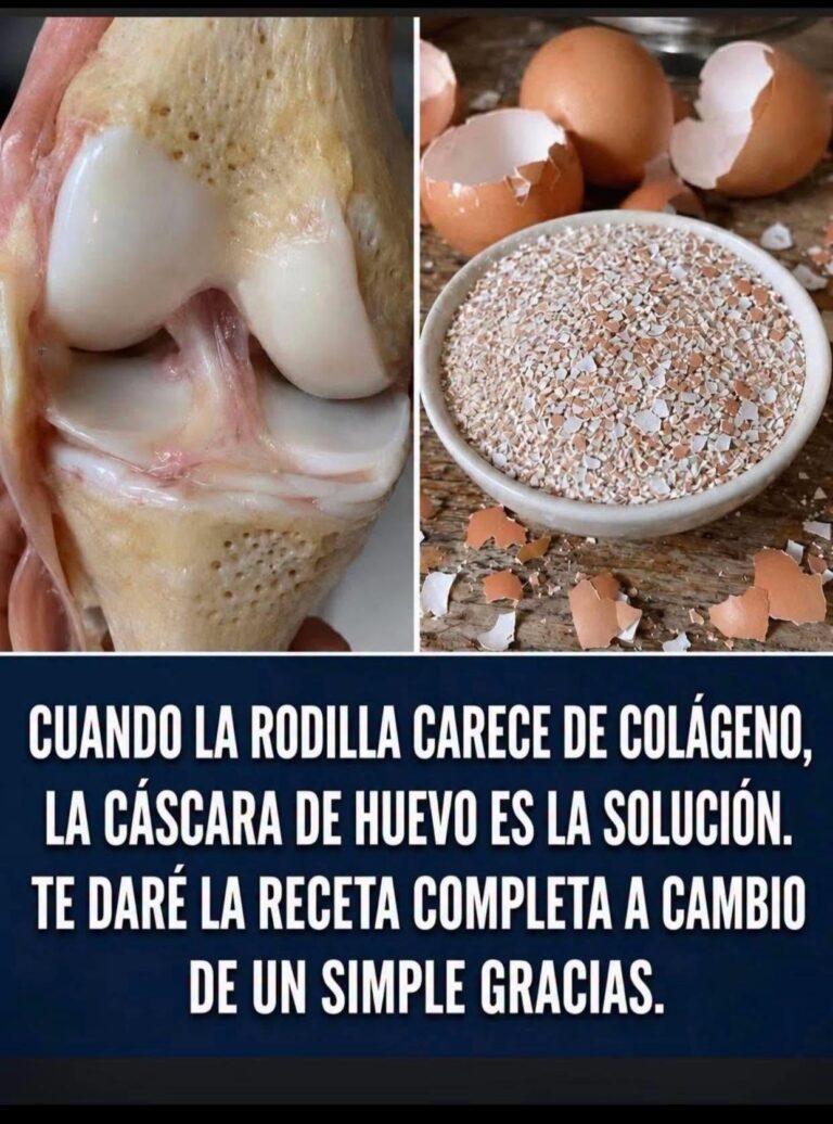 ¡La Fuente de la Juventud Articular! Médico Ortopedista de 97 Años Revela el Secreto del Cartílago