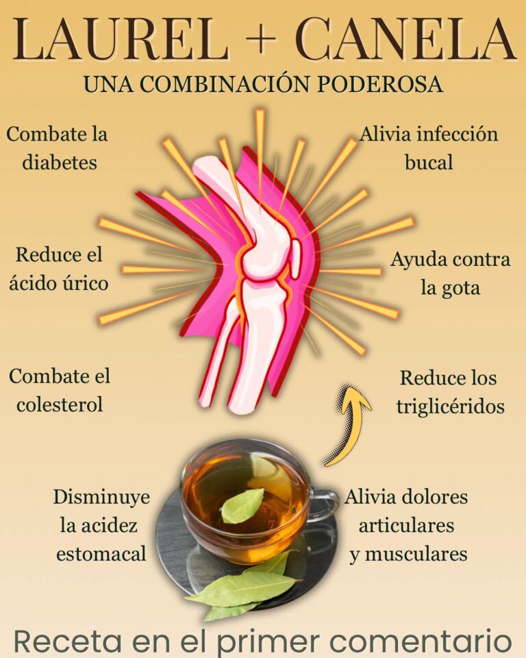 Té de Laurel: Beneficios y Cómo Prepararlo