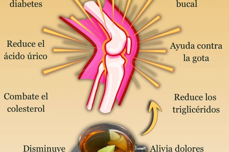 Té de Laurel: Beneficios y Cómo Prepararlo