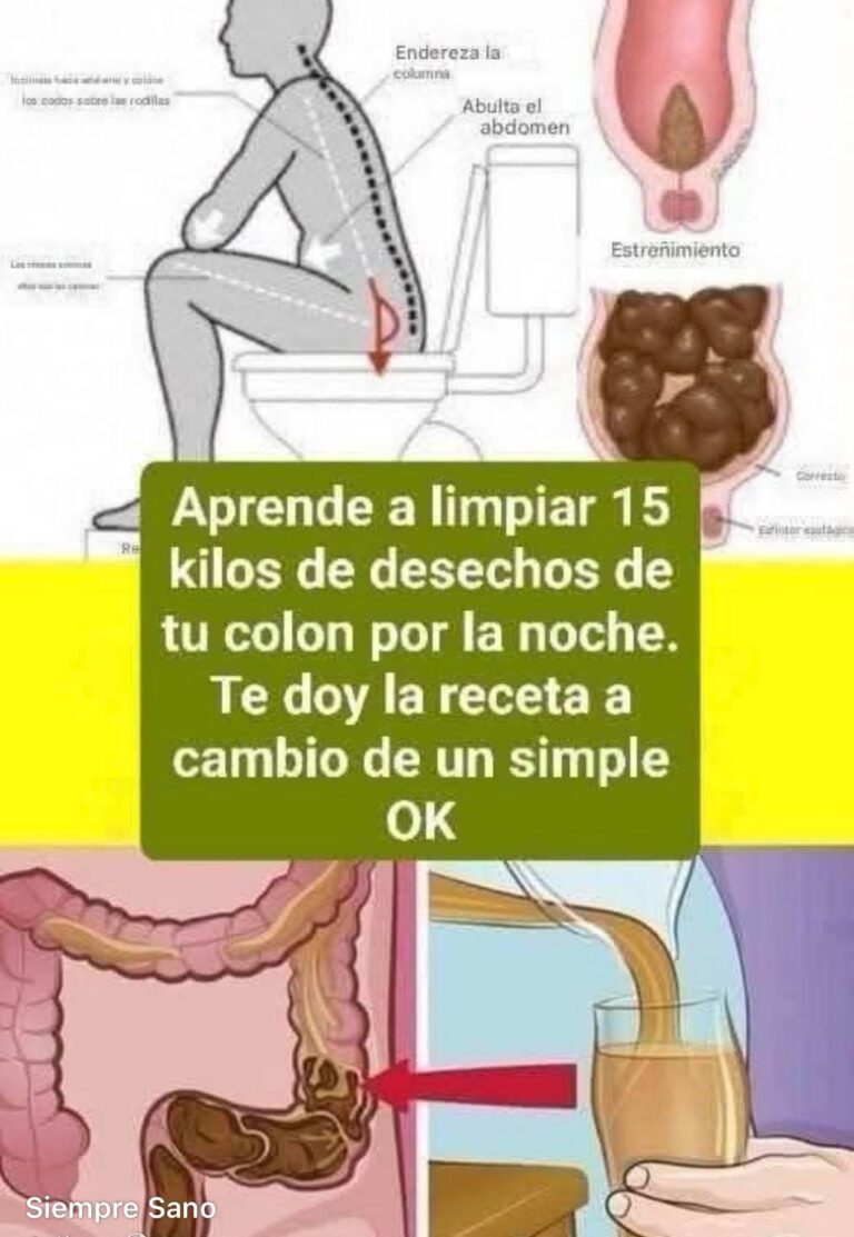 Poder oculto de las semillas de papaya para un hígado sano y un vientre plano