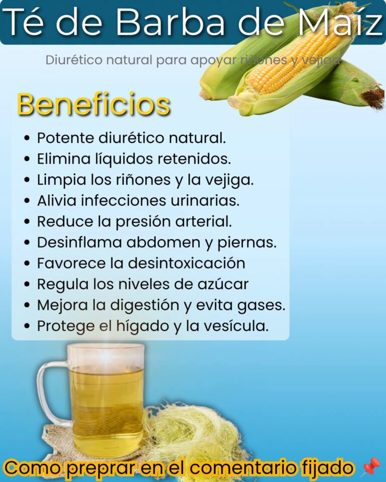 Seda de maíz: beneficios, usos y cómo prepararla