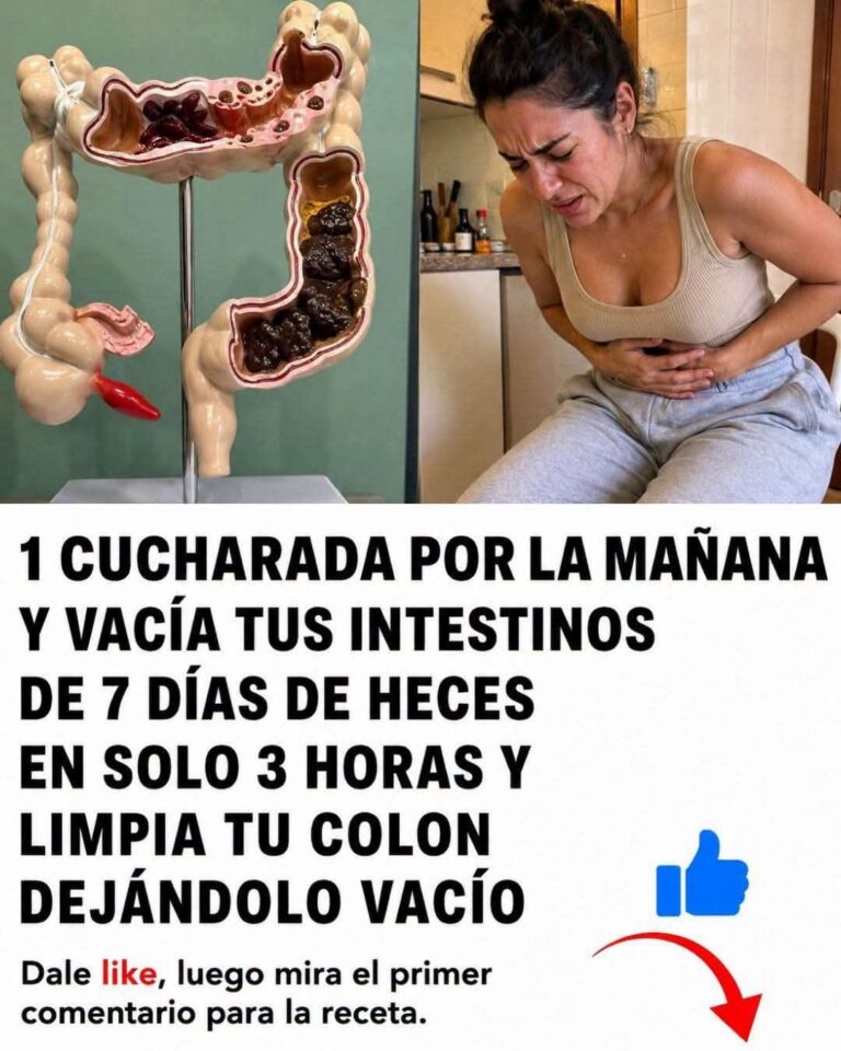 Receta natural para apoyar la digestión y aliviar la inflamación abdominal sin “limpiezas” peligrosas