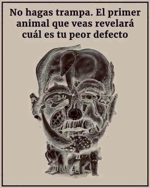 Test visual de animales: qué puede decir de tu personalidad y qué no debes creer