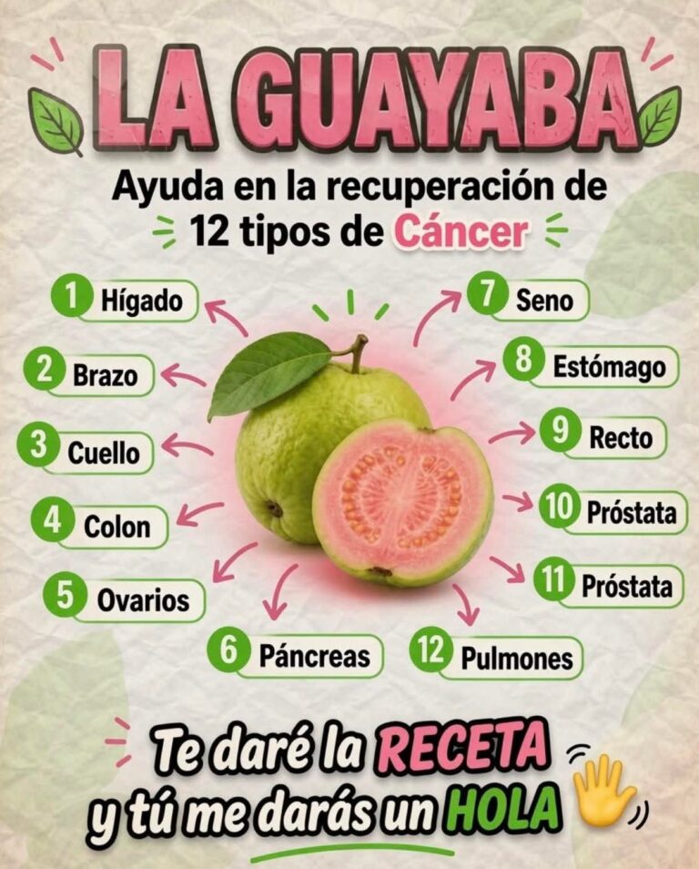 La Hoja de Guayaba y Sus Beneficios Naturales