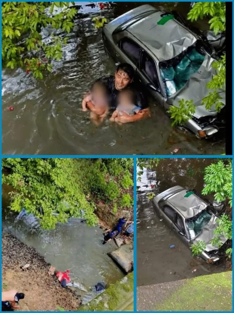 Padre y bebés sobreviven a caída al abismo