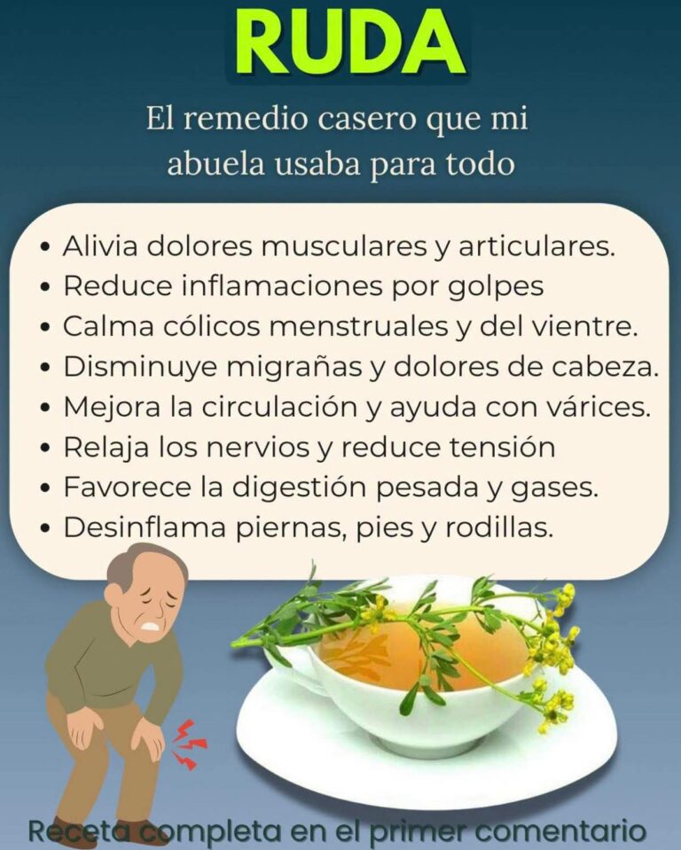 Solo 1 hojita de RUDA por día y no vas a sufrir por dolor de hueso, reumas o artritis