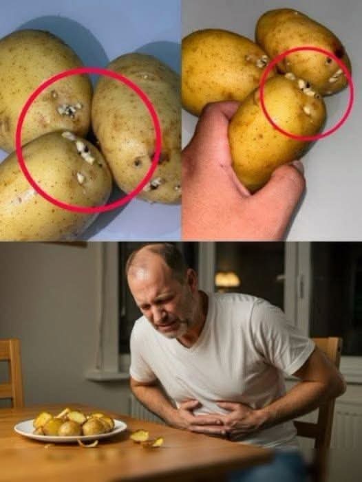 ¿Las papas con brotes son peligrosas?