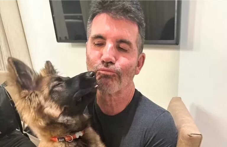 Simon Cowell asegura que usará su fortuna de 600 millones de dólares para rescatar animales abandonados