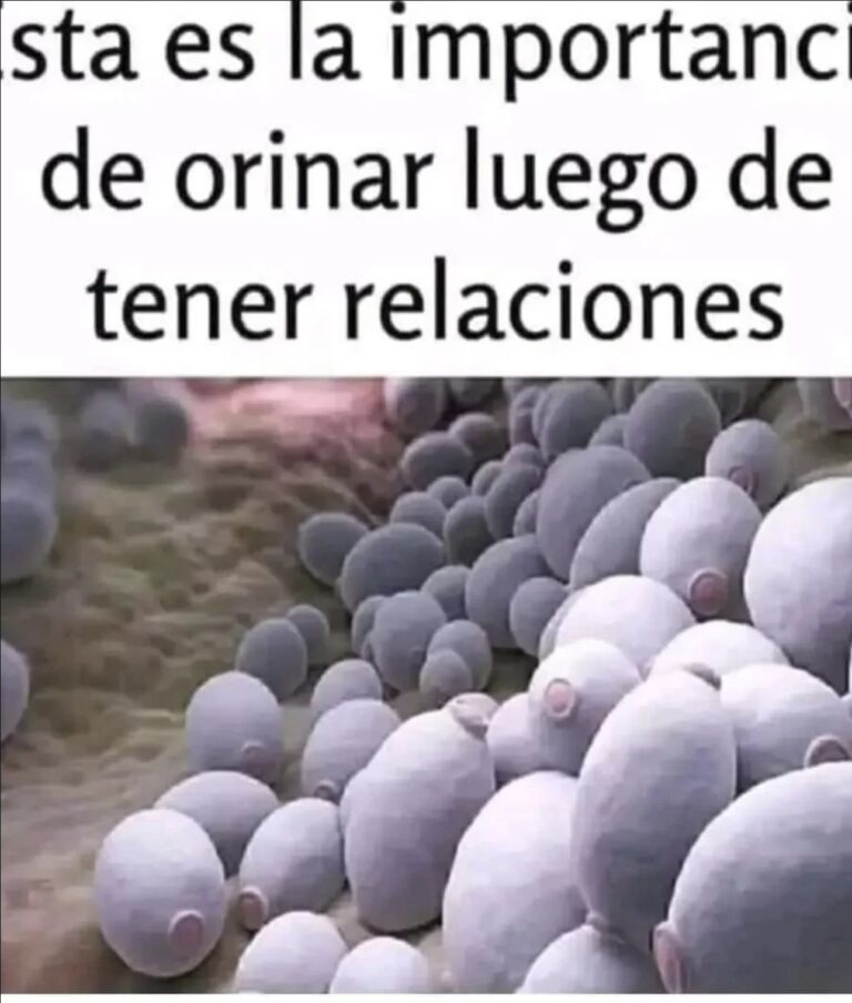 Por qué es importante orinar después de tener relaciones