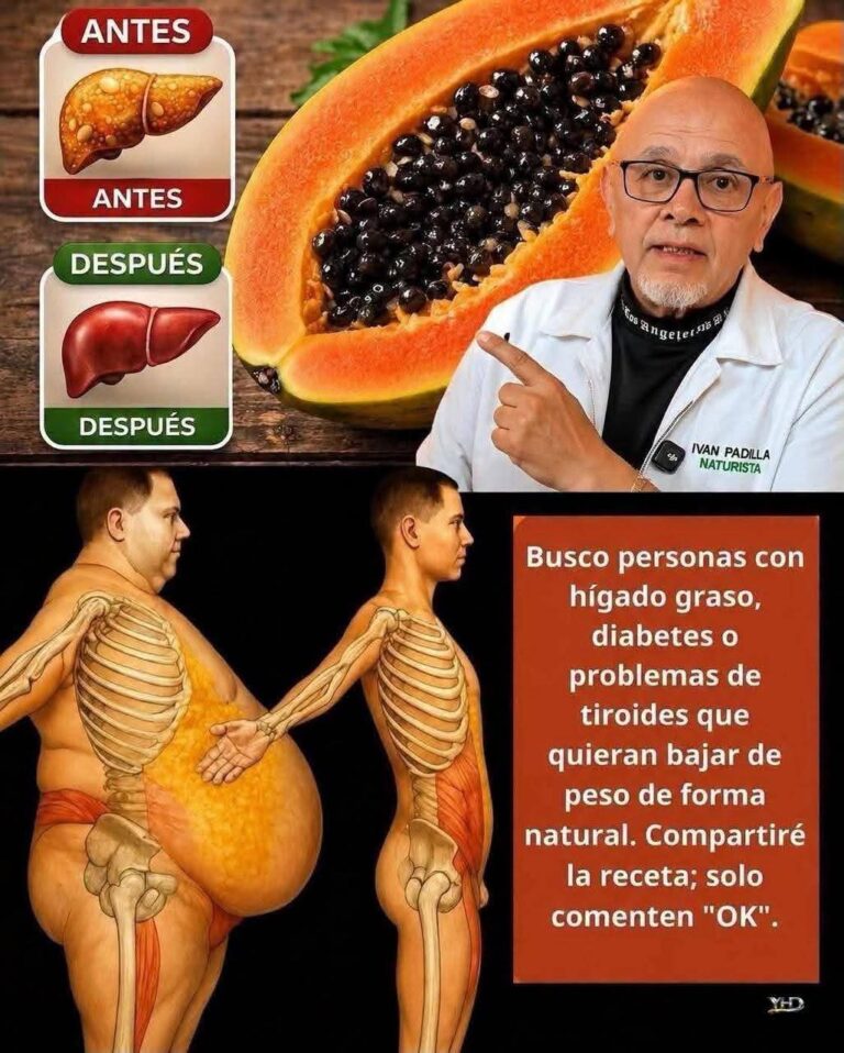 Papaya: la fruta tropical que puede apoyar tu digestión sin promesas milagrosas