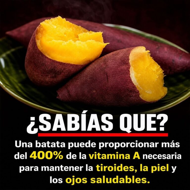 Patata dulce: un alimento sencillo con beneficios sorprendentes para tu salud
