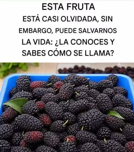 Mora de morera: beneficios reales, propiedades y cómo consumir esta fruta poco conocida