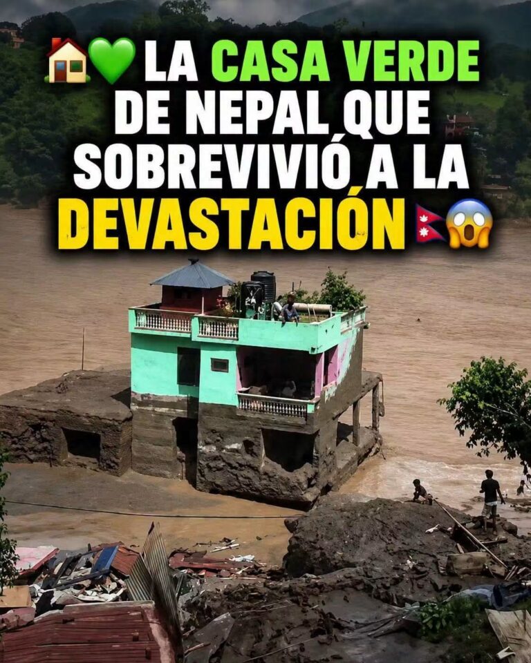 La casa verde de Nepal que resistió la inundación: qué se sabe del video viral